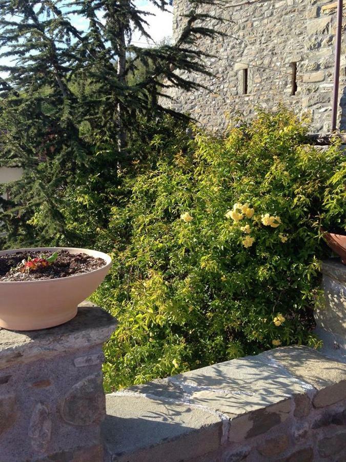 Mini Appartamenti Nonna Nella Barbarasco エクステリア 写真
